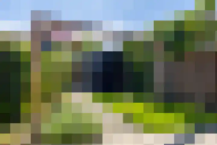 Hof van Wesse 33 Zutphen thumbnail 26