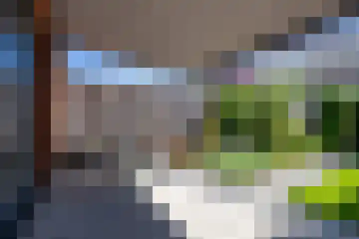 Hof van Wesse 33 Zutphen thumbnail 30