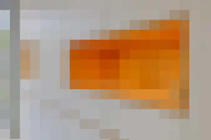 Hofakker 9 Moergestel thumbnail 10