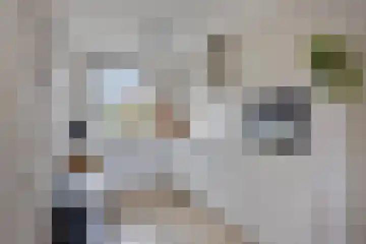 Hofakker 9 Moergestel thumbnail 13