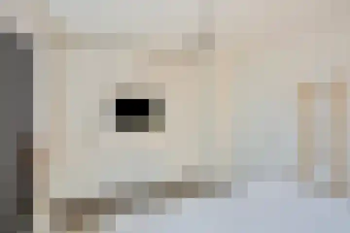Hofakker 9 Moergestel thumbnail 18