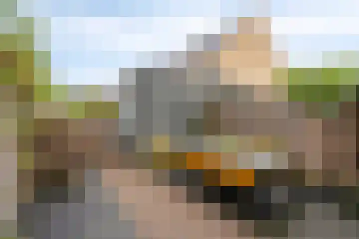 Hofakker 9 Moergestel thumbnail 28