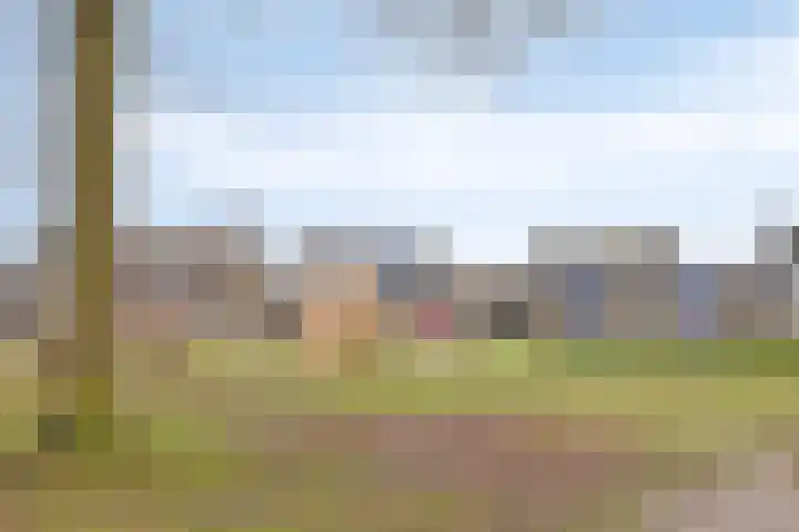 Hofakker 9 Moergestel thumbnail 34