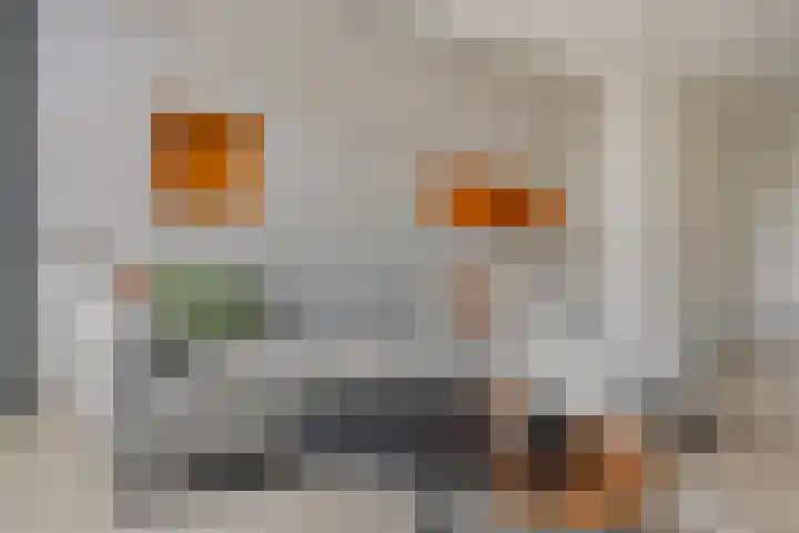 Hofakker 9 Moergestel thumbnail 9