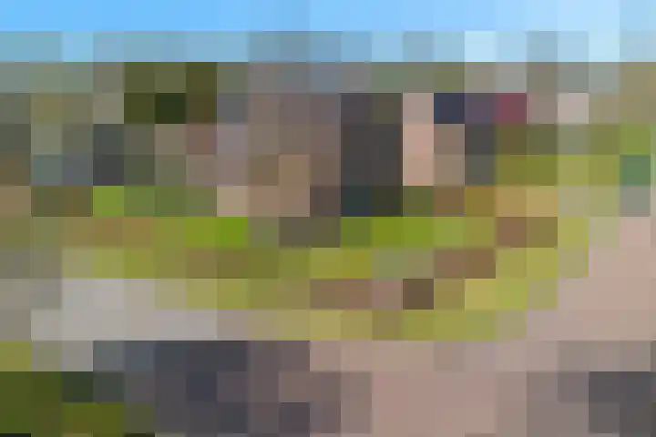 Hofakkersweg 6 in Exloo