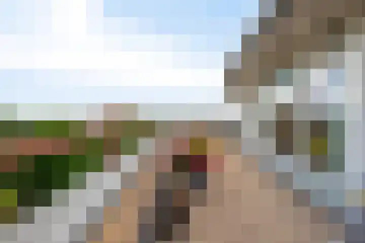 Hofdael 212 Geldrop thumbnail 38