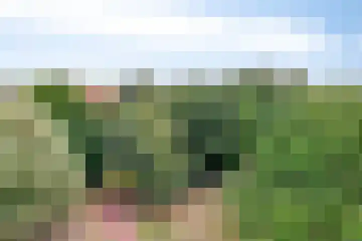 Hofdael 212 Geldrop thumbnail 44