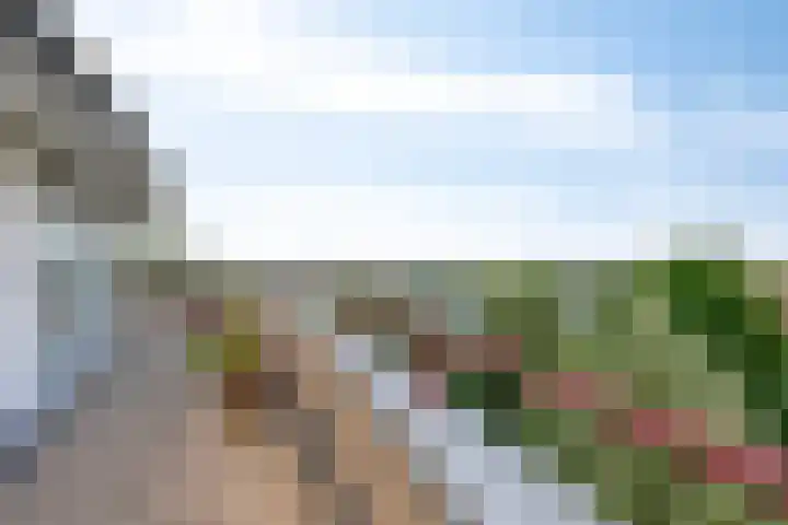 Hofdael 212 Geldrop thumbnail 45