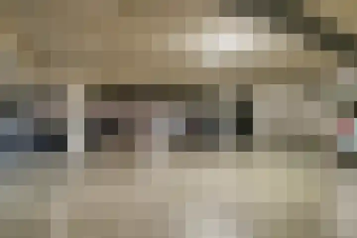 Hofdael 212 Geldrop thumbnail 49
