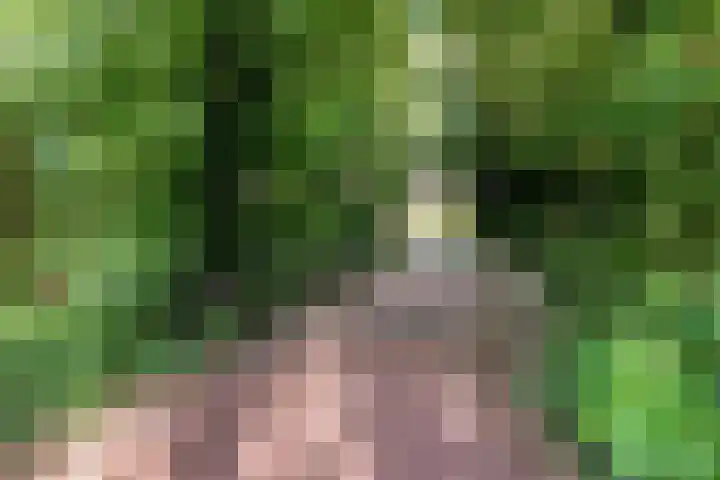 Hofdael 212 Geldrop thumbnail 51