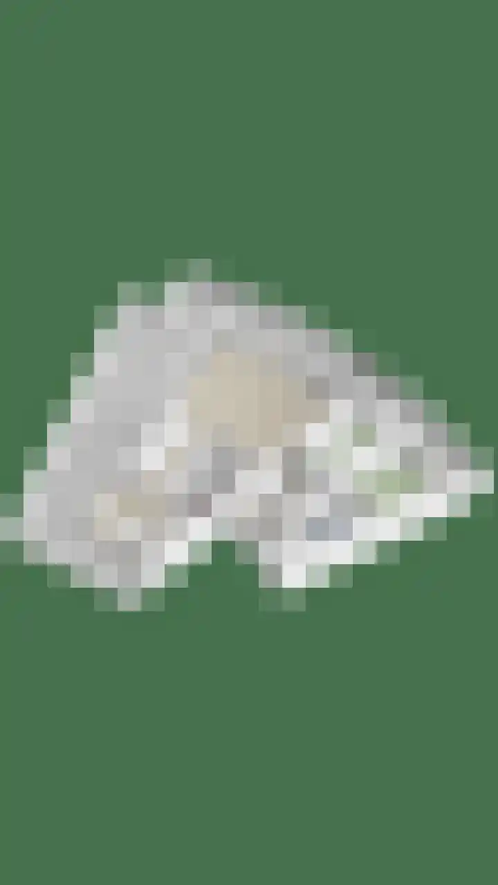 Hofdael 212 Geldrop thumbnail 63