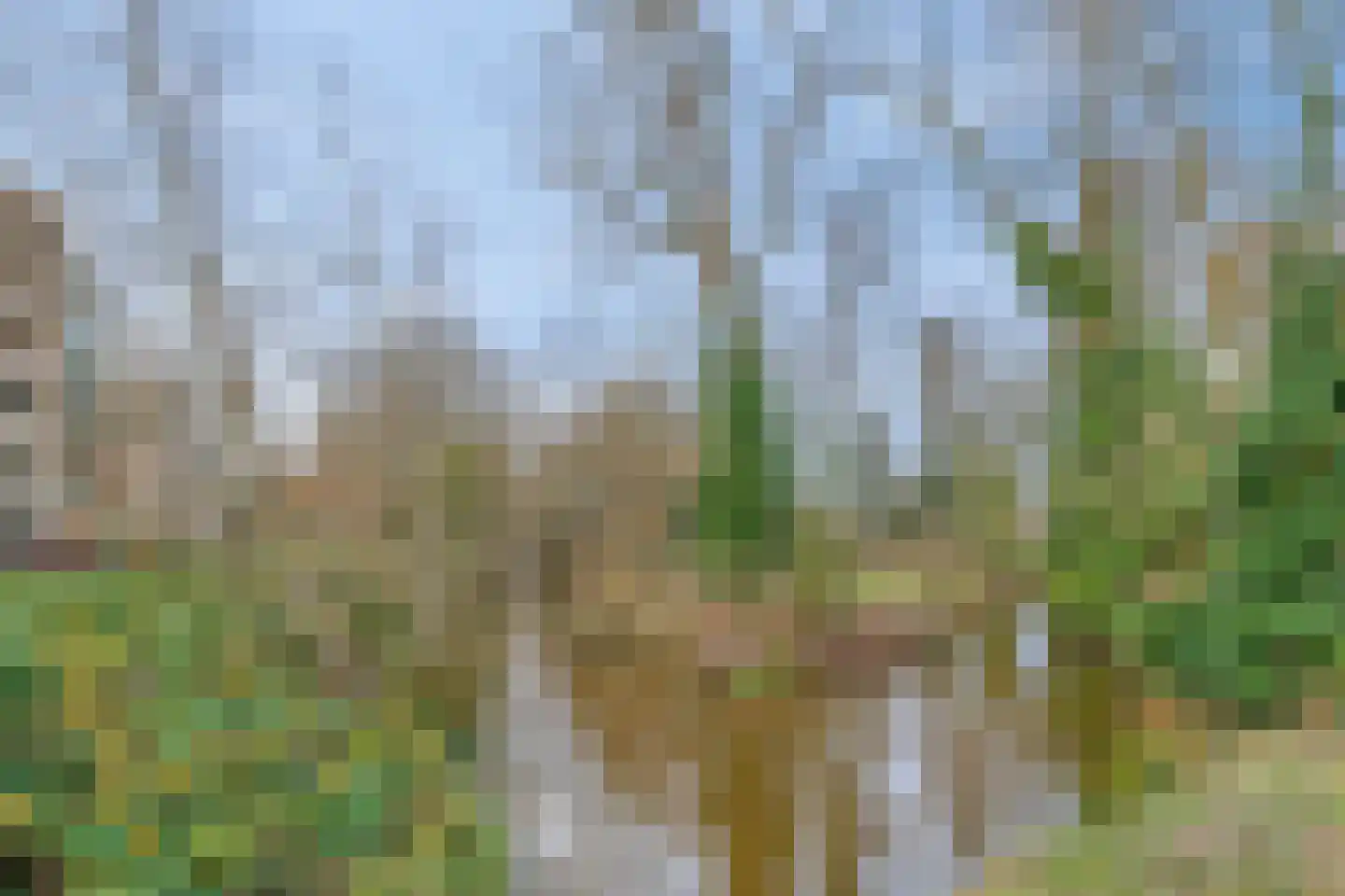 Hofdael 42 Geldrop thumbnail 36