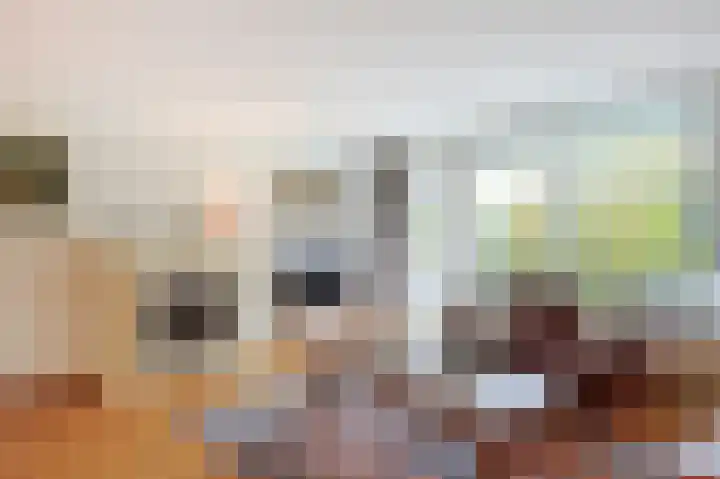 Hofdael 51 Geldrop thumbnail 12
