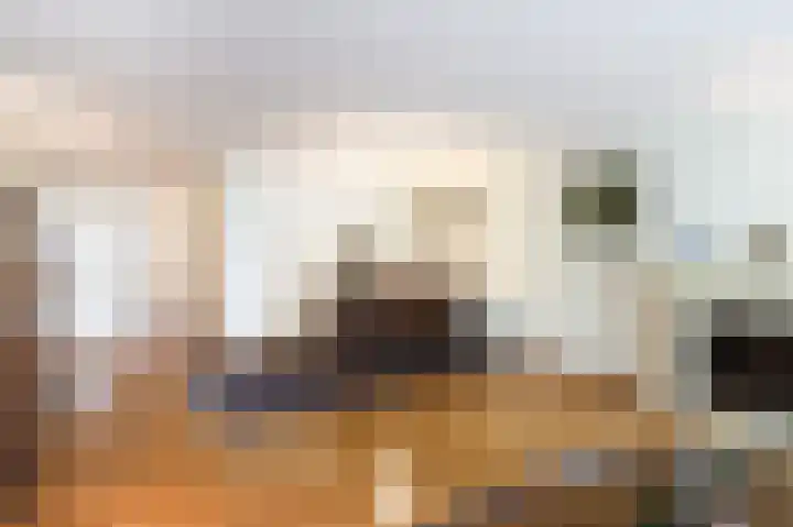 Hofdael 51 Geldrop thumbnail 16