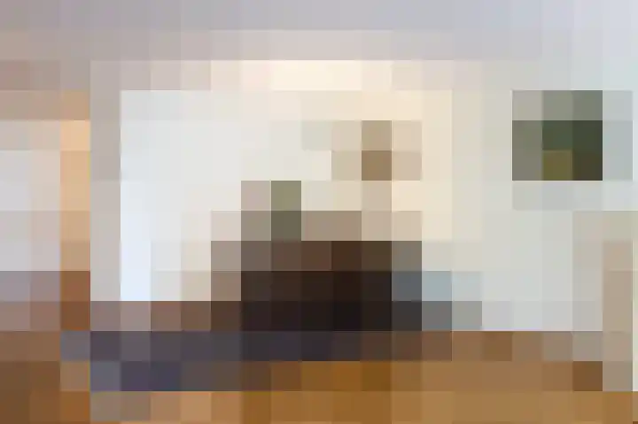 Hofdael 51 Geldrop thumbnail 17