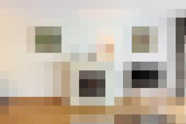 Hofdael 51 Geldrop thumbnail 18