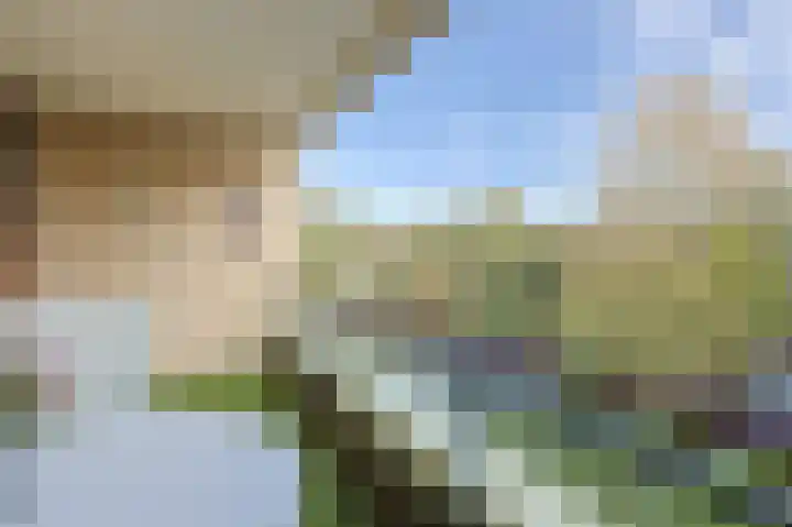 Hofdael 51 Geldrop thumbnail 20