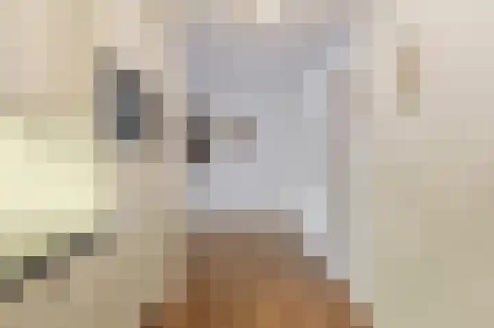Hofdael 51 Geldrop thumbnail 25