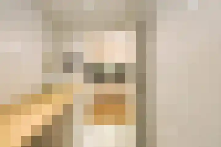 Hofdael 51 Geldrop thumbnail 27