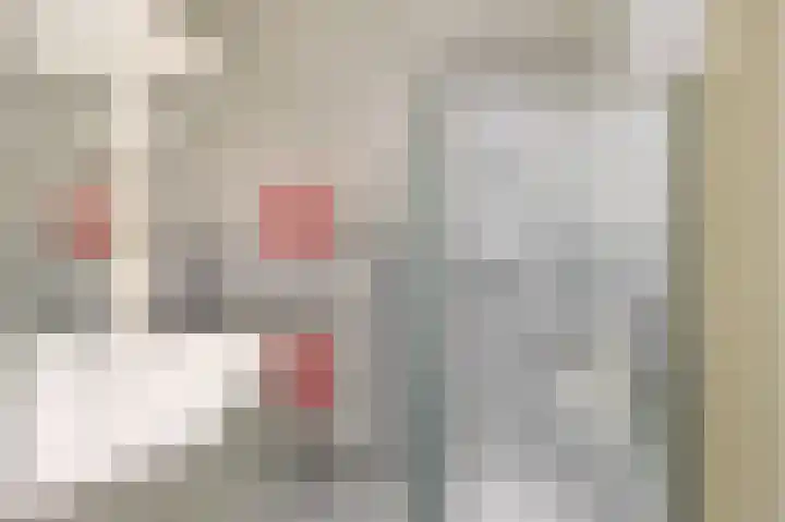 Hofdael 51 Geldrop thumbnail 37