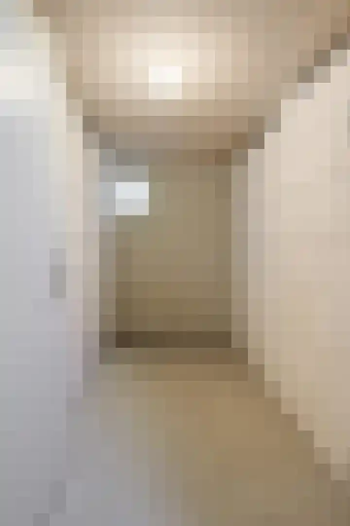 Hofdael 51 Geldrop thumbnail 40