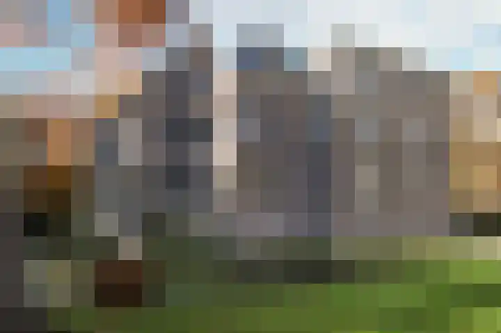 Hofdael 51 Geldrop thumbnail 42