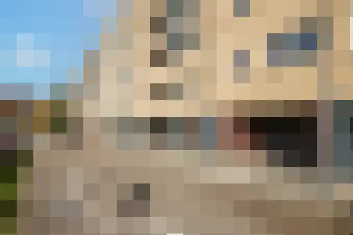 Hofdael 51 Geldrop thumbnail 6