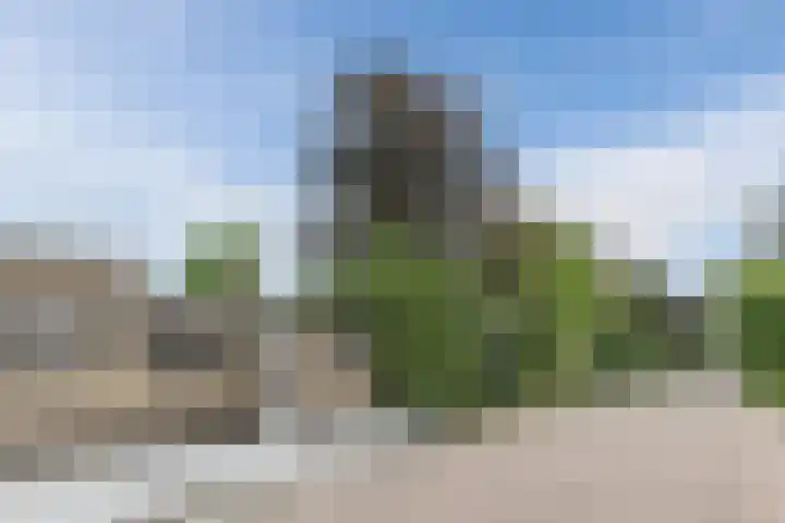 Hofdijk 57 Montfoort thumbnail 33