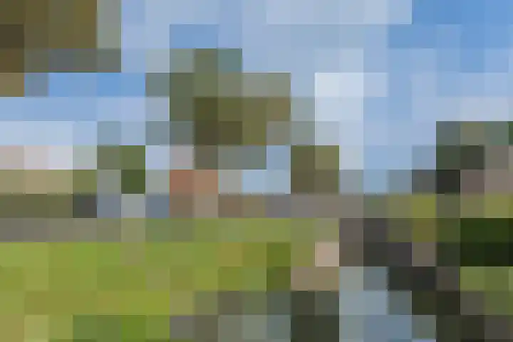 Hofdijk 57 Montfoort thumbnail 37