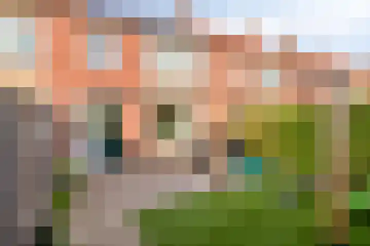 Hoffesstraat 25 Holten thumbnail 20