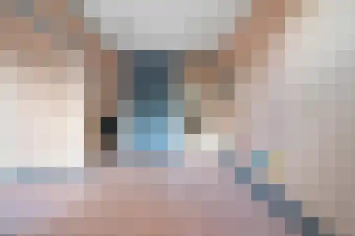 Hofgeest 98 Amsterdam thumbnail 17