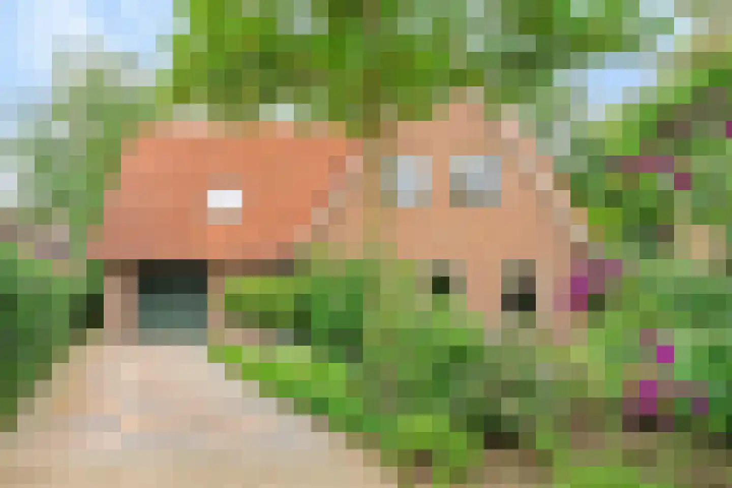 Hofkamp 184 Losser