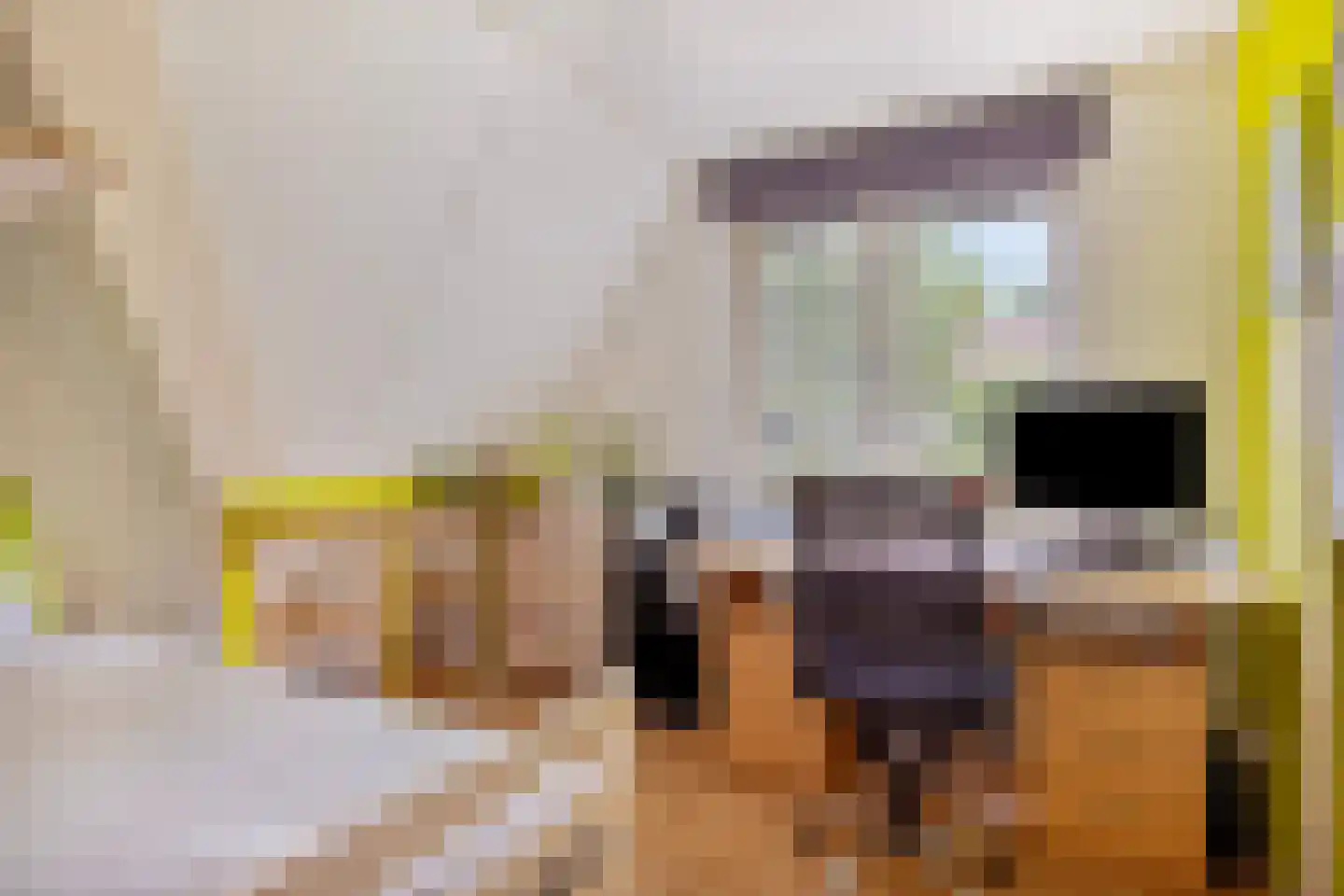 Hofkamp 184 Losser thumbnail 31