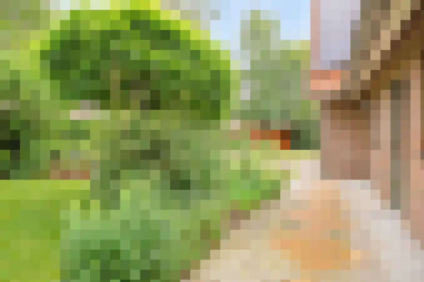 Hofkamp 184 Losser thumbnail 36