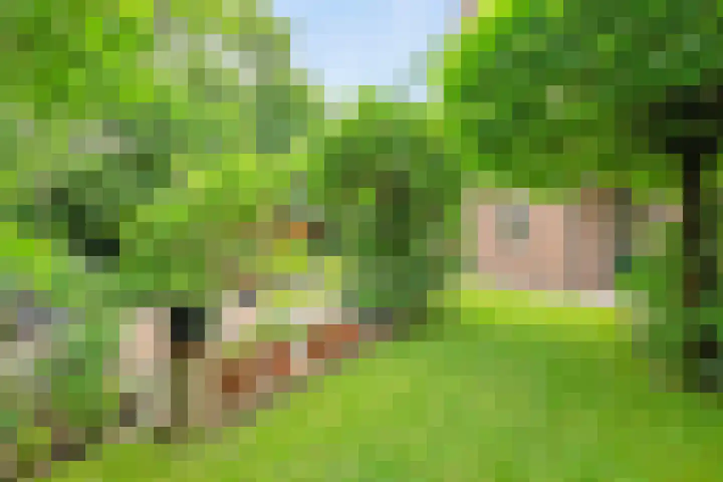 Hofkamp 184 Losser thumbnail 39