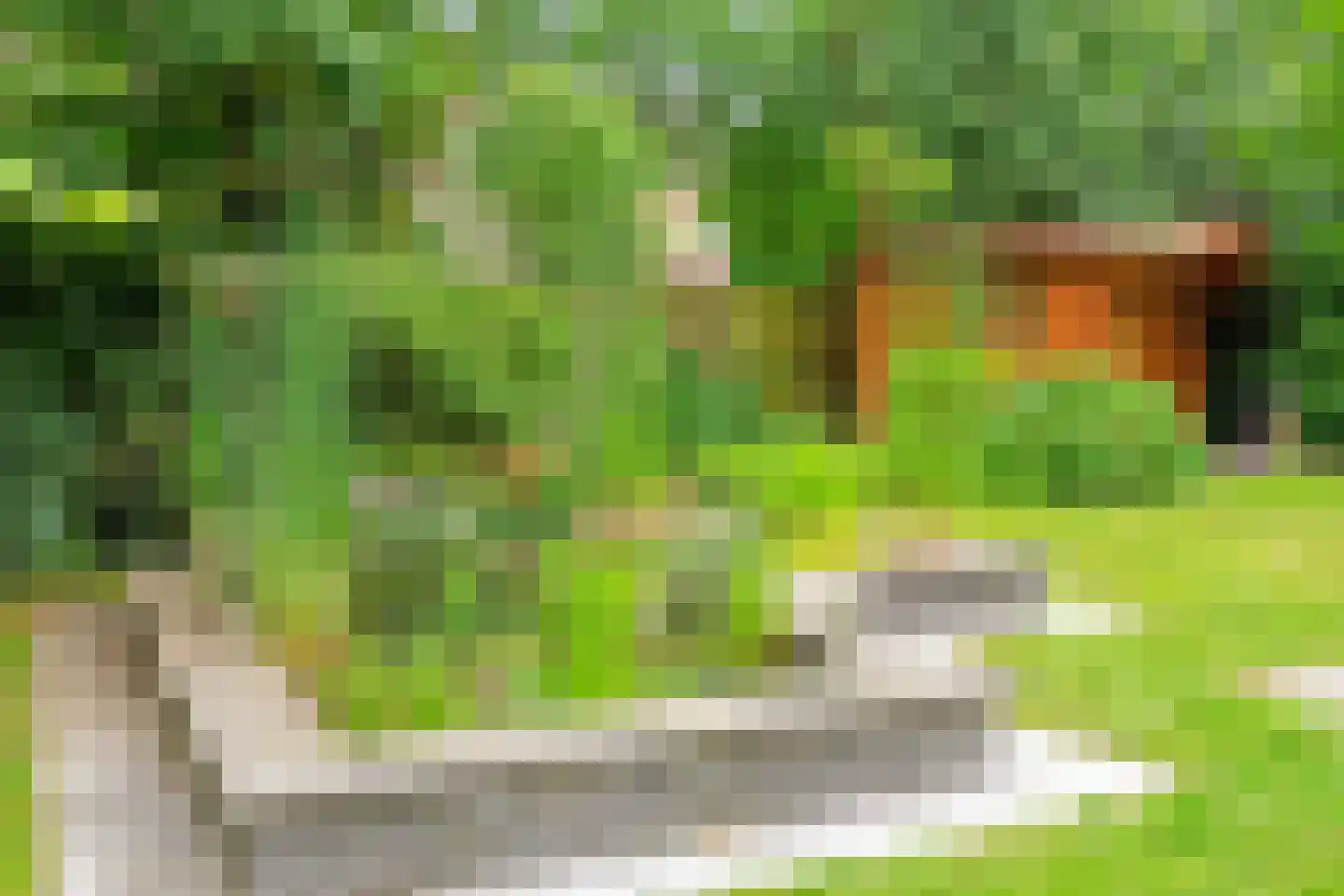 Hofkamp 184 Losser thumbnail 40