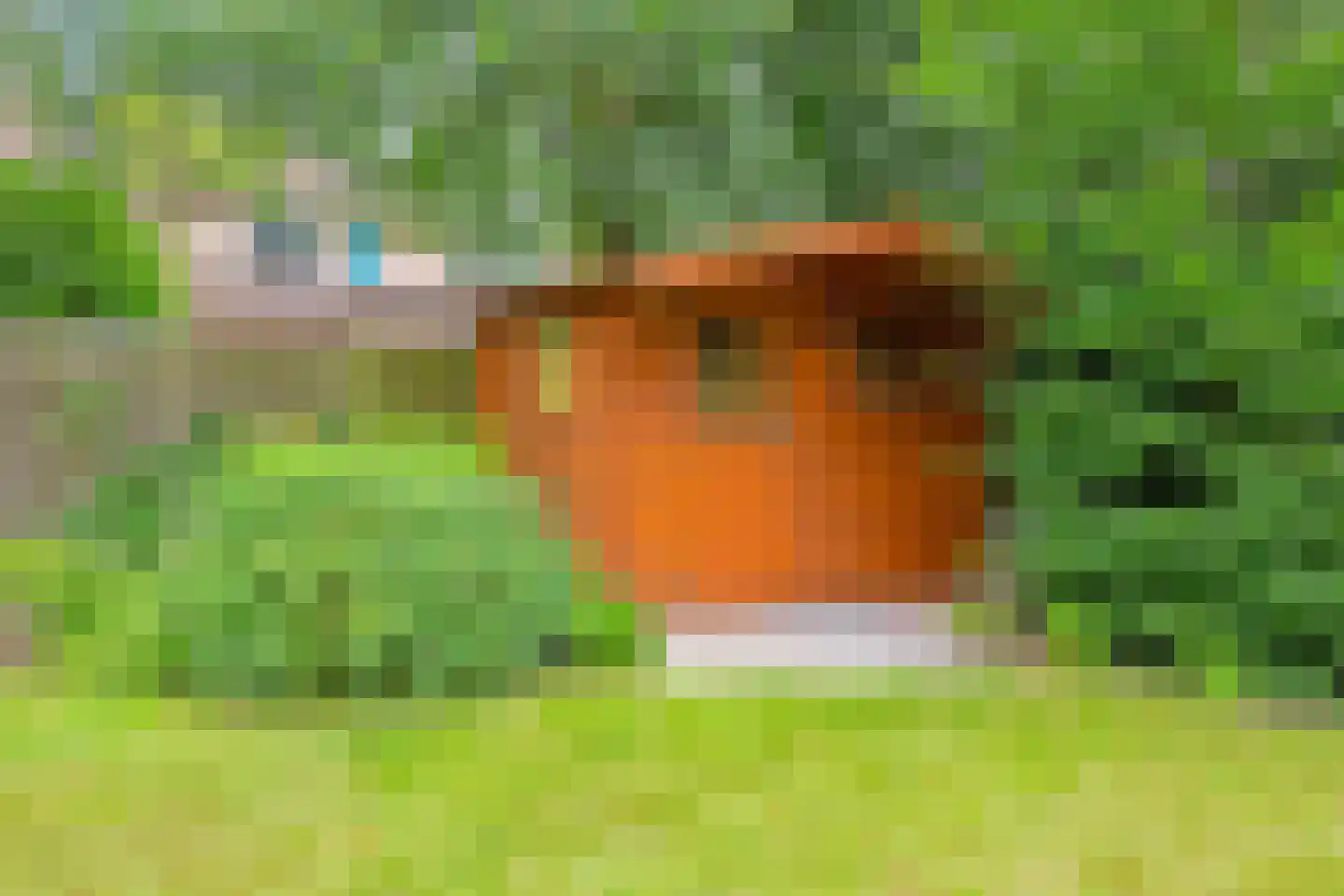 Hofkamp 184 Losser thumbnail 41