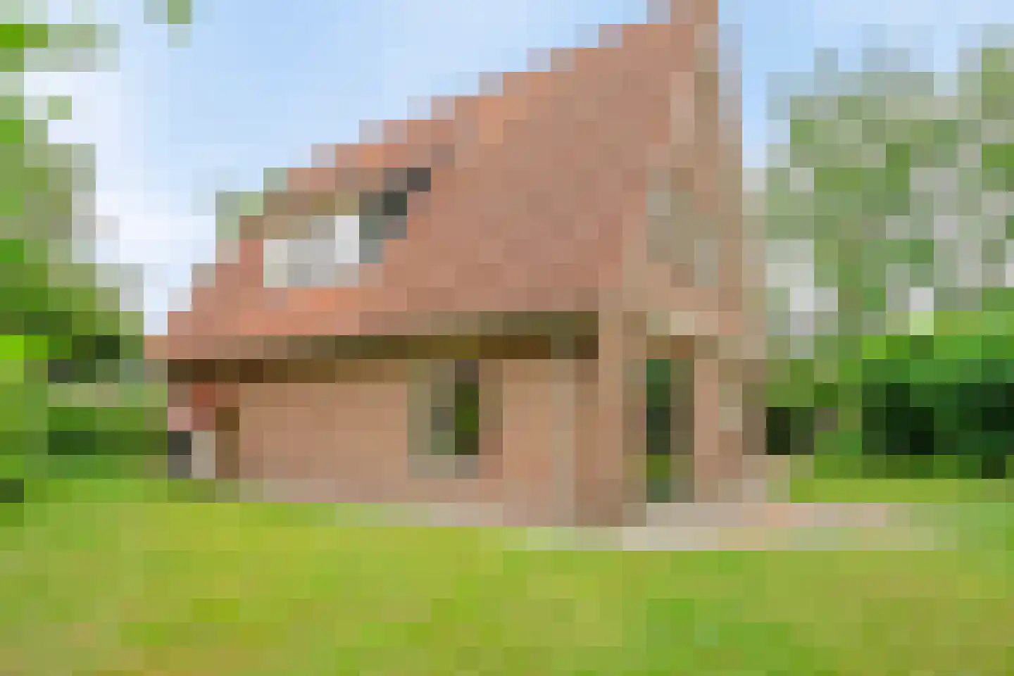 Hofkamp 184 Losser thumbnail 42