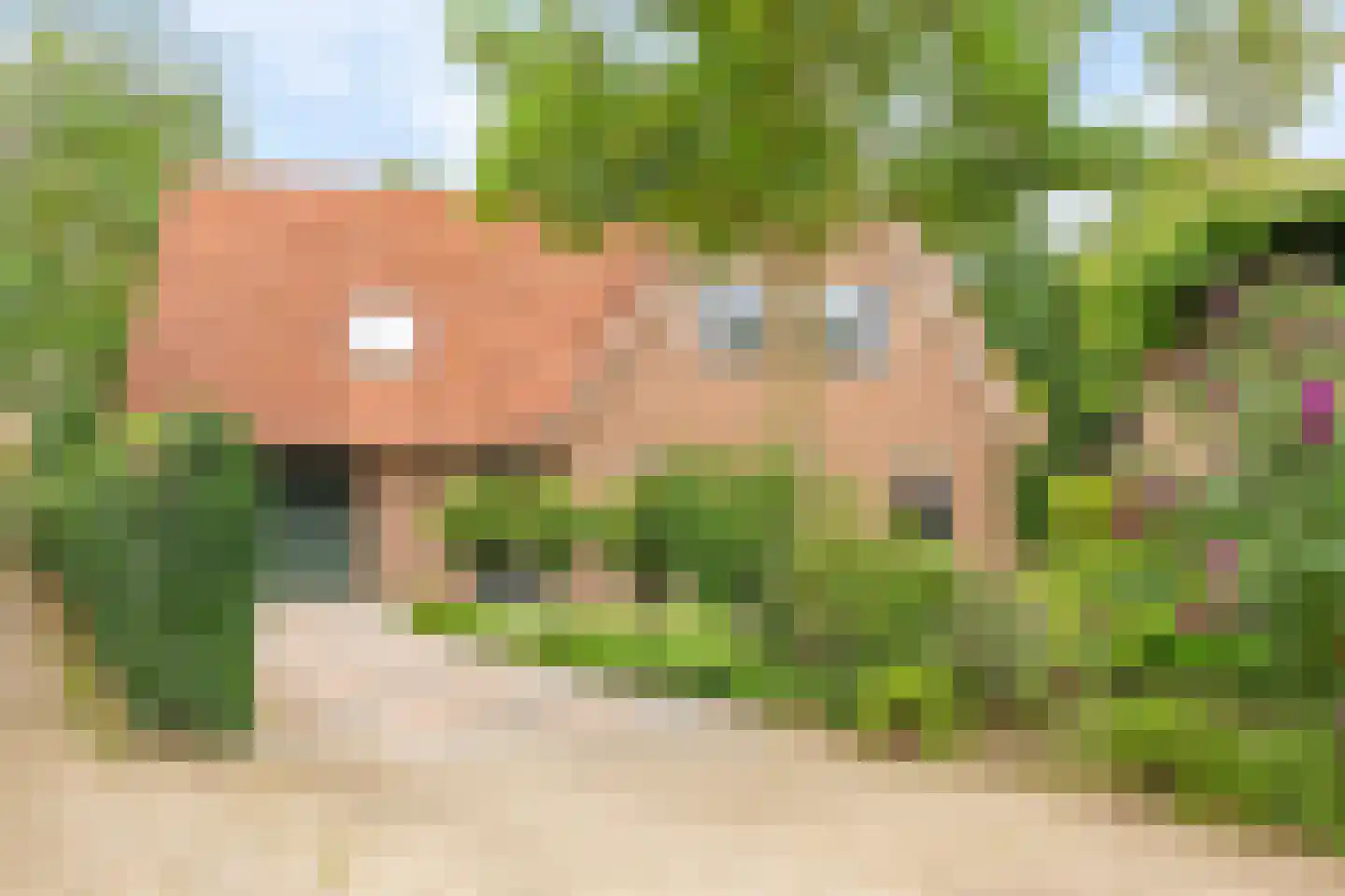 Hofkamp 184 Losser thumbnail 47
