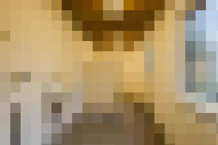 Hofkamp 189 Losser thumbnail 11