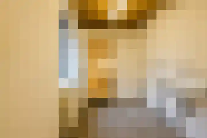Hofkamp 189 Losser thumbnail 12