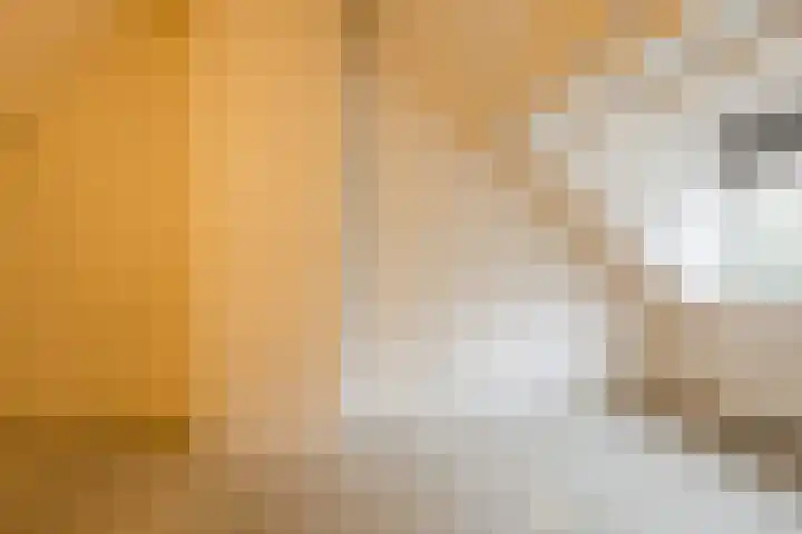 Hofkamp 189 Losser thumbnail 30
