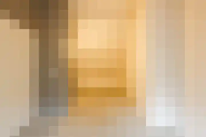 Hofkamp 189 Losser thumbnail 31