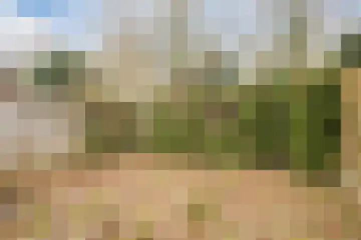 Hofkamp 189 Losser thumbnail 39