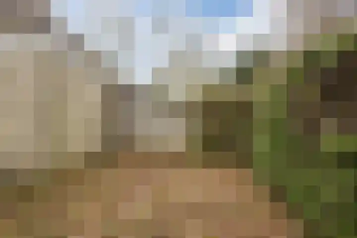 Hofkamp 189 Losser thumbnail 40