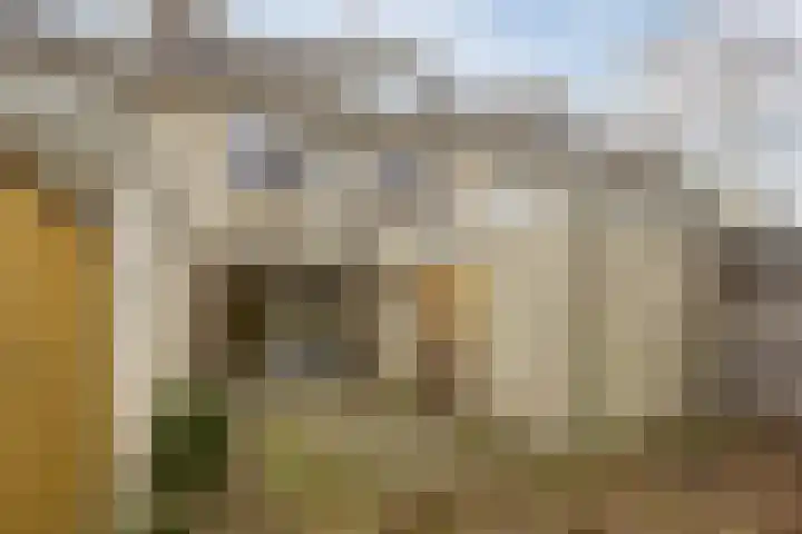 Hofkamp 189 Losser thumbnail 41