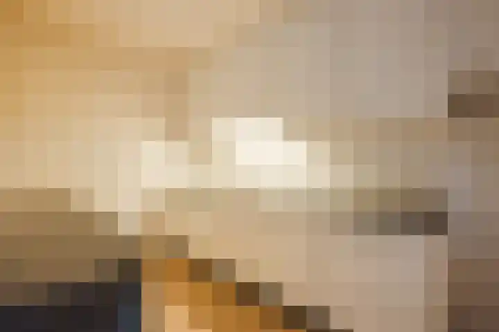 Hofkamp 189 Losser thumbnail 8