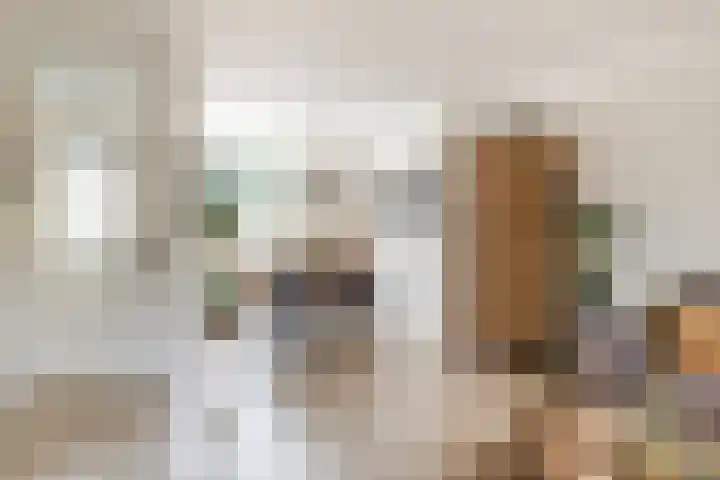 Hofkamp 224 Losser thumbnail 11