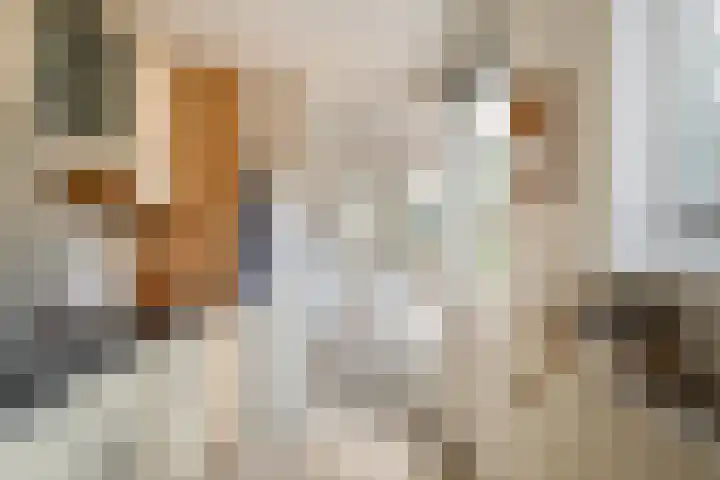 Hofkamp 224 Losser thumbnail 14