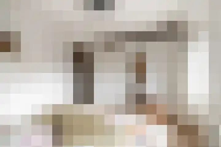 Hofkamp 224 Losser thumbnail 18